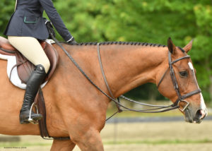 Sarah Laud Equestrian 12