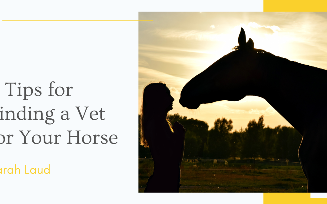 4 Tips for Finding a Vet for Your Horse - Sarah Laud