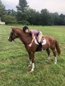 Sarah Laud Equestrian 33