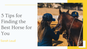 5 Tips for Finding the Best Horse for You - Sarah Laud