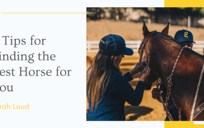 5 Tips for Finding the Best Horse for You