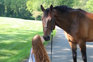 Sarah Laud Equestrian 25