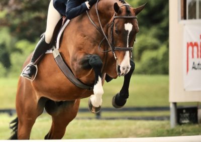 Sarah Laud Equestrian 11