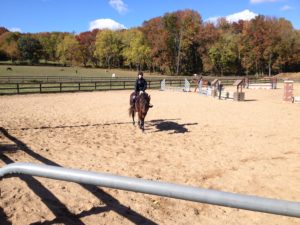 Sarah Laud Equestrian 19
