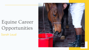 Equine Career Opportunities - Sarah Laud