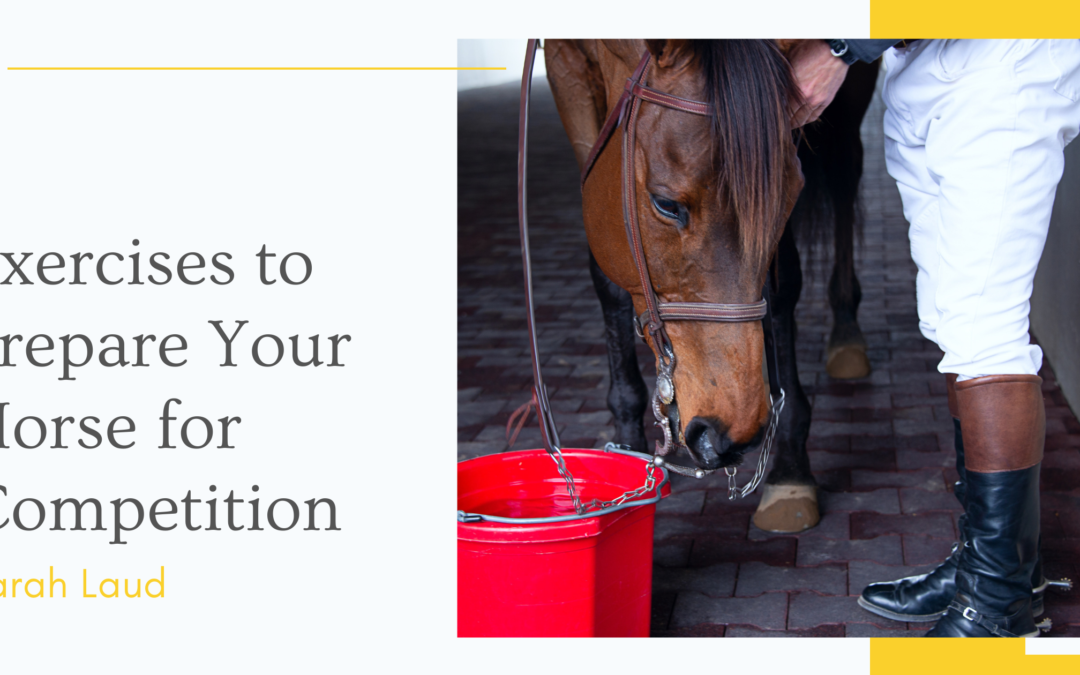 Exercises to Prepare Your Horse for Competition