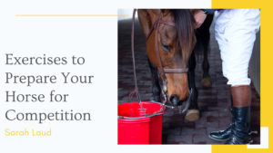 Exercises to Prepare Your Horse for Competition - Sarah Laud
