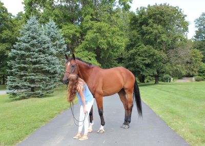 Sarah Laud Equestrian 20