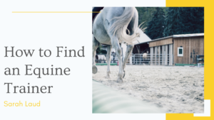 How to Find an Equine Trainer - Sarah Laud - Morristown, New Jersey