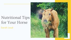 Nutritional Tips for Your Horse - Sarah Laud