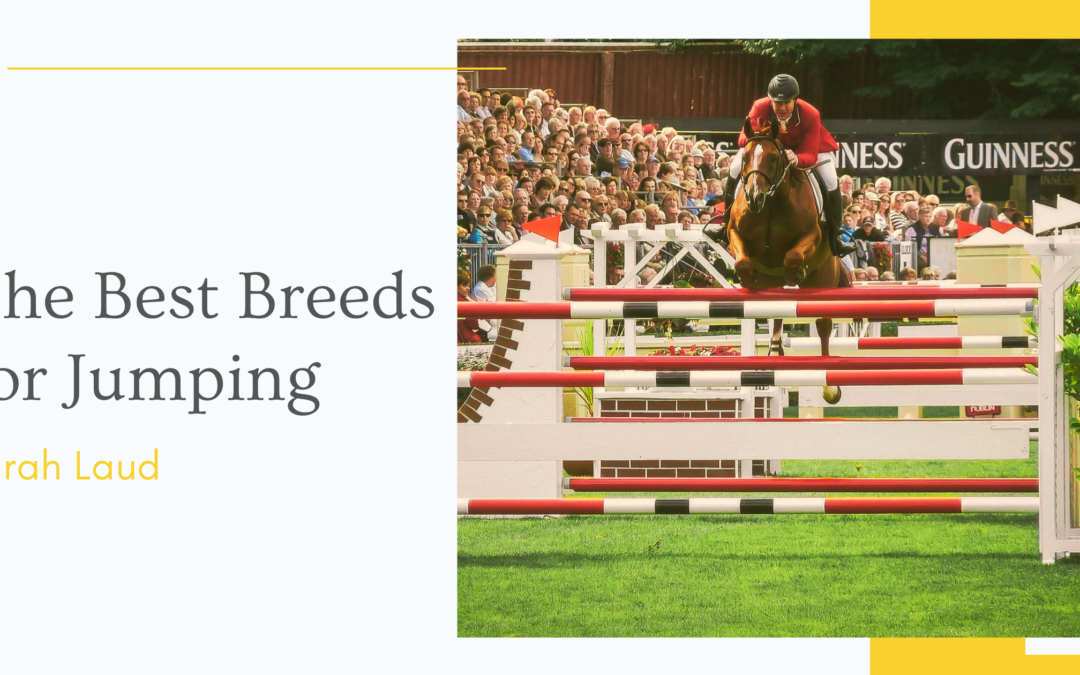 The Best Breeds for Jumping