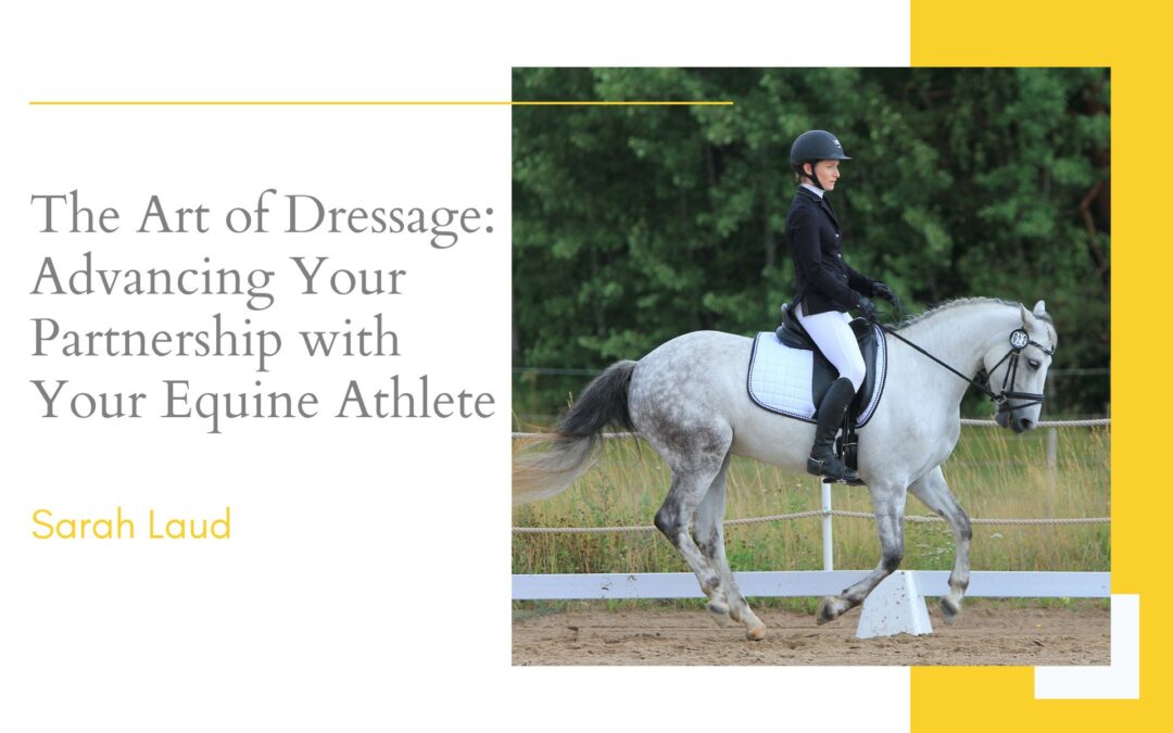 The Art of Dressage: Advancing Your Partnership with Your Equine Athlete