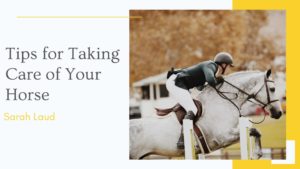 Tips for Taking Care of Your Horse - Sarah Laud