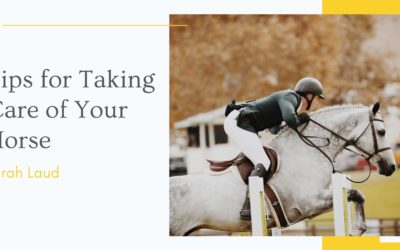 Tips for Taking Care of Your Horse