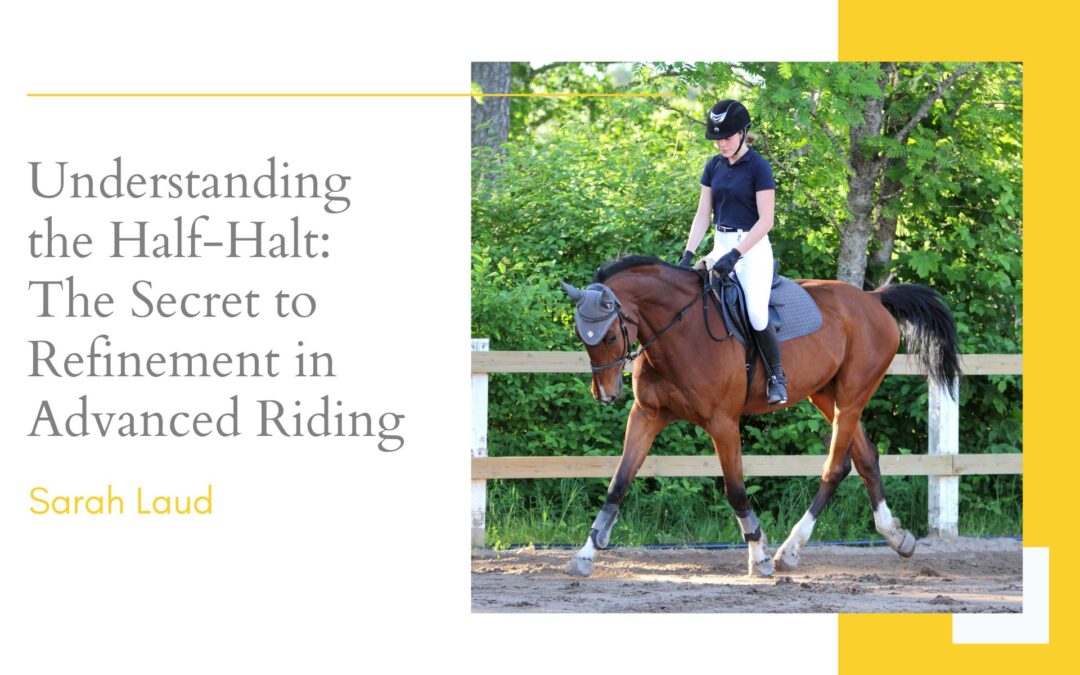 Understanding the Half-Halt: The Secret to Refinement in Advanced Riding